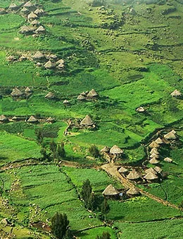 <span style="scroll-margin-top: 10rem;"><strong>Ethiopia</strong></span>