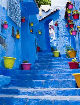 <span style="scroll-margin-top: 10rem;"> <strong>Morocco</strong></span>