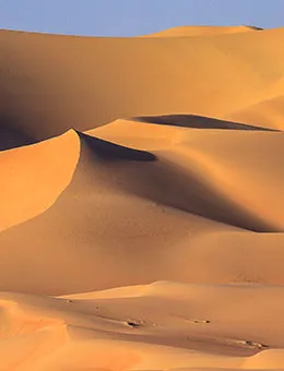 <strong>Saudi-Arabia</strong>