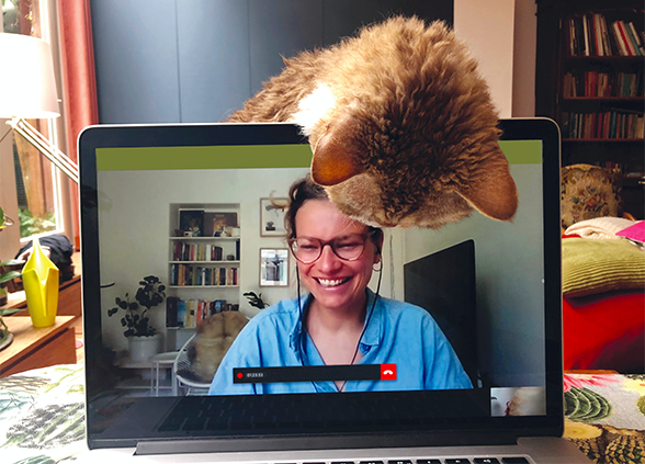 StudyWell-Global-telehealth-588x423