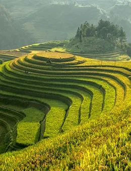 <strong>Vietnam</strong>